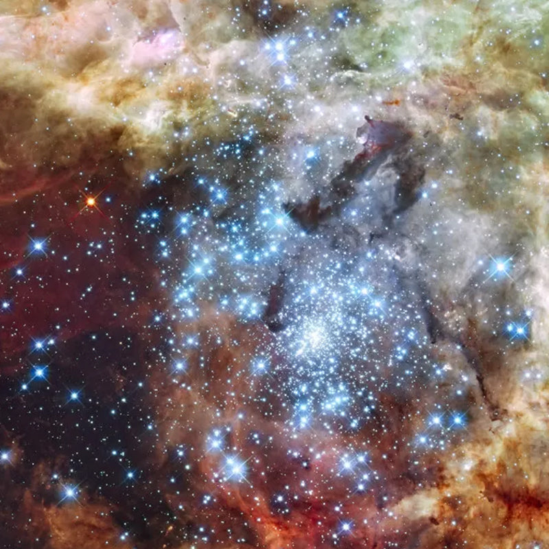 Cool Nebula Wall Mural Decal for Accent Wall, Brown, Personalized Size Available