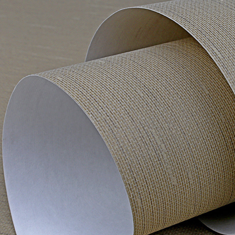 20.5" x 33' Textured Wallpaper Roll for Dining Room Non-Woven Wall Decor in Dark Color, Stain-Resistant