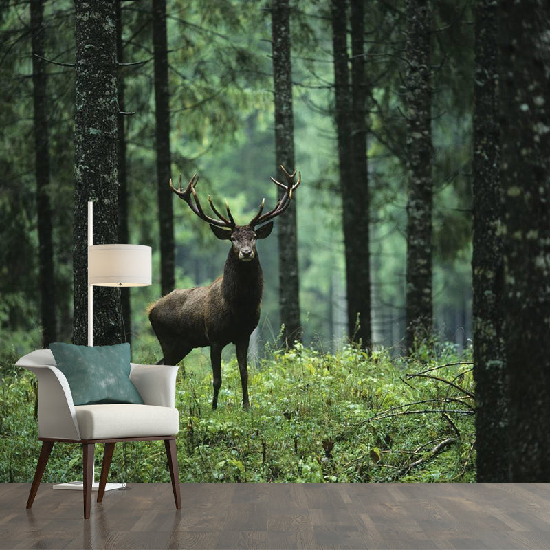 Large Size Contemporary Wall Murals Green Wild Deer in the Forest Patterned Wall Art