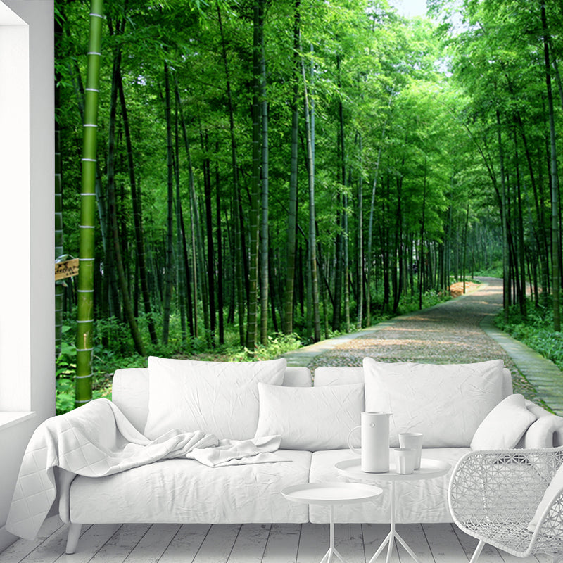 Path to Bamboo Forest Mural Green Modern Style Wall Covering for Home, Personalized Size