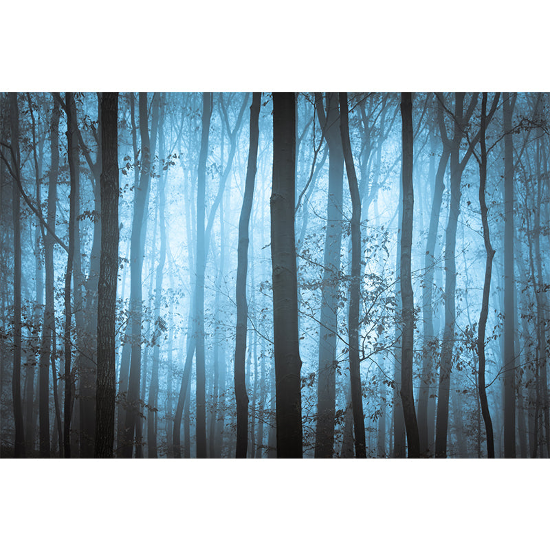 Photography Forest at Dawn Mural Large Wall Decor for Bedroom, Custom Size Available