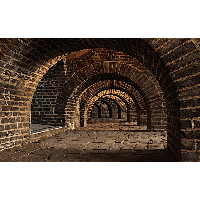 Moisture Resistant Arched Cellar Murals Custom Contemporary Wall Covering for Library