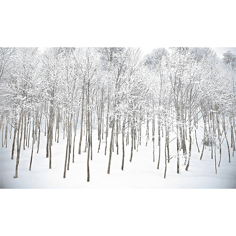 White Winter Rime Forest Mural Moisture-Resistant Wall Decoration for Teens Bedroom
