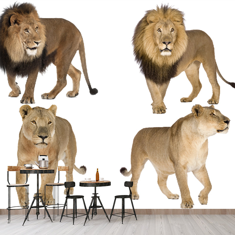 Photography Lions Mural Decal Whole Wall Covering for Accent Wall, Made to Measure