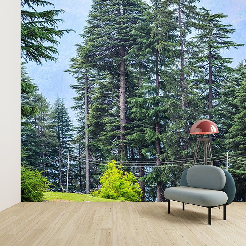 Natural Snow Style Forest Mural Horizontal Photography Bedroom Wall Mural