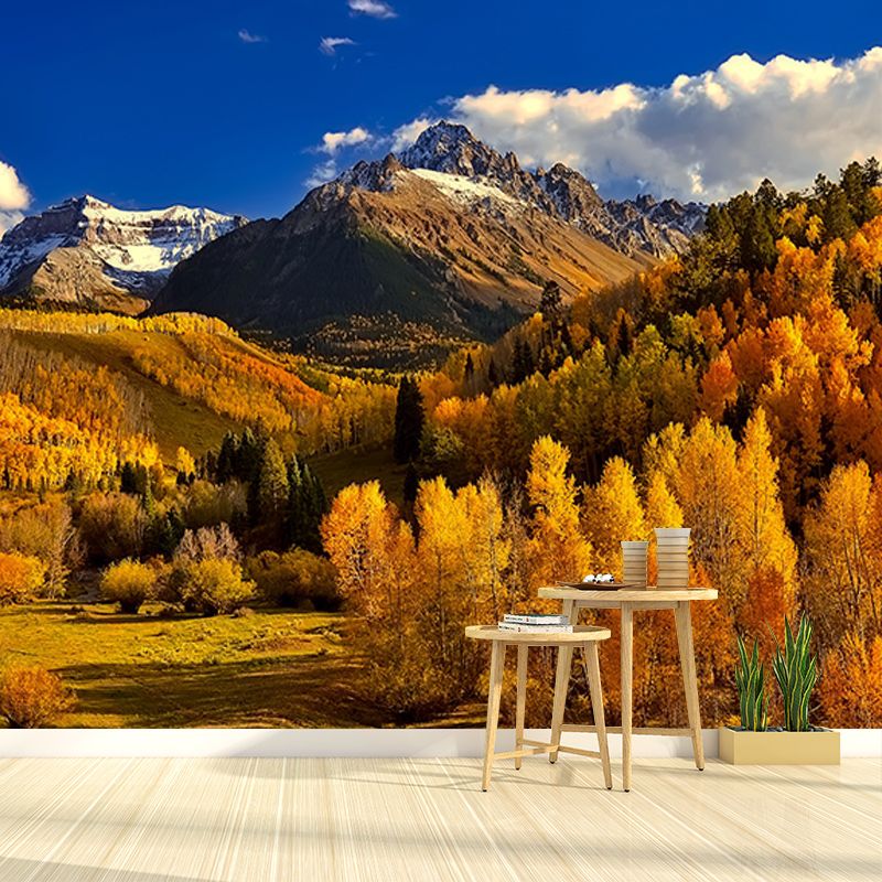 Photography Wall Mural Wallpaper Forest Sitting Room Wall Mural