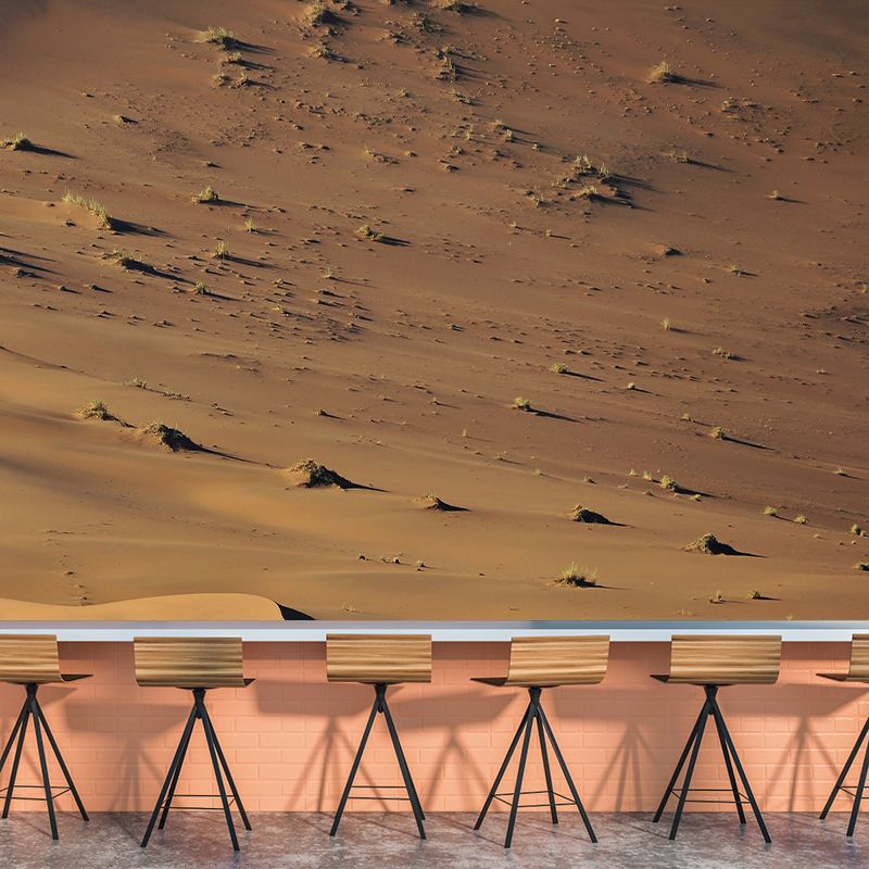 Decorative Landscapes Wall Mural Photography Mildew Resistant Desert Wall Murals for Home