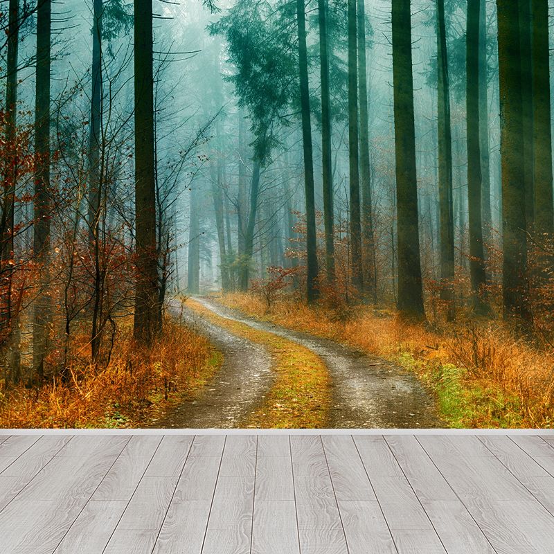 Huge Forest Modernist Wall Mural Decal Photography Stain Resistant for Living Room