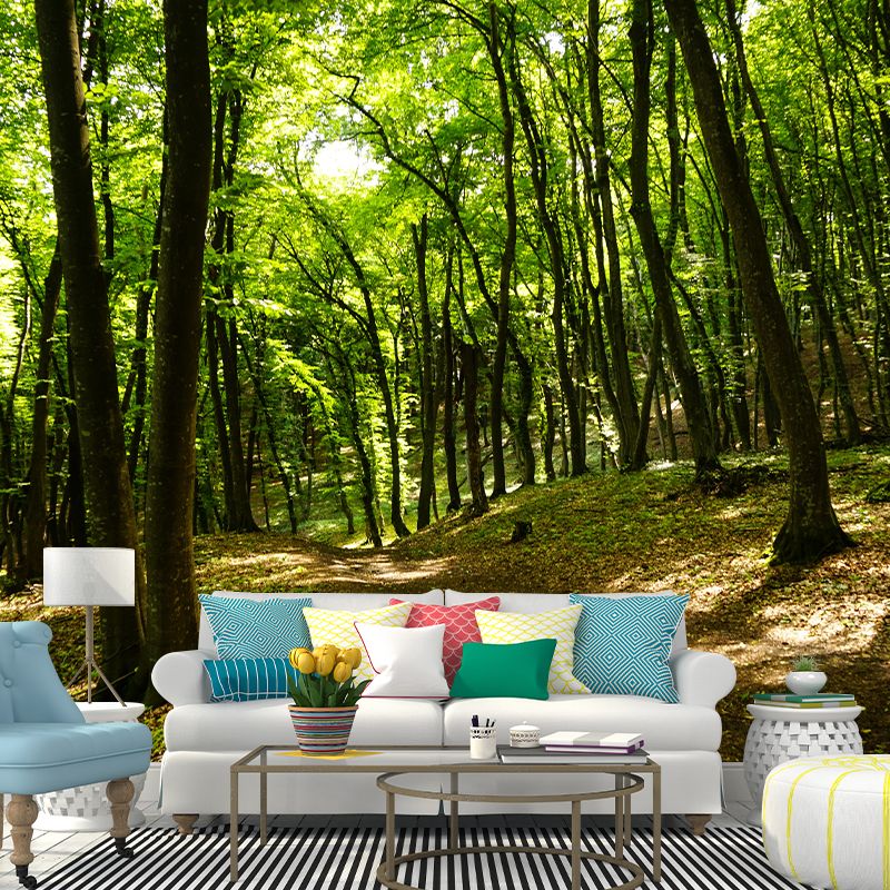 Modern Forest Trees Wall Mural for Sitting Room Bedroom Home Decor, Made to Measure