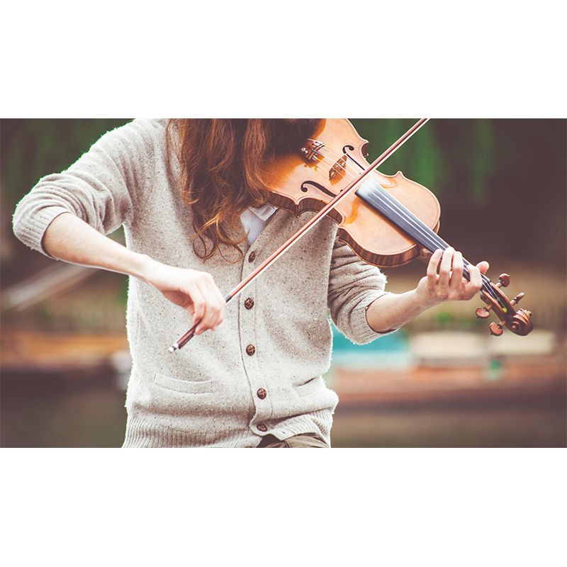 Contemporary Hobby Violin Mural Wallpaper Water Resistant Environment Friendly Wall Decor