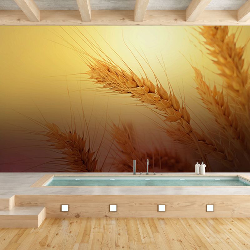 Photography Wheat Field Mildew Resistant Wallpaper Environmental Sleeping Room Wall Mural