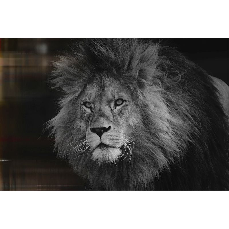 Ferocious Animal Lion Mural Decal Customized Contemporary Wall Covering