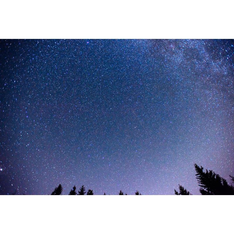Full Size Photography Modern Mural Decal with Night Sky Pattern Constellations in Purple