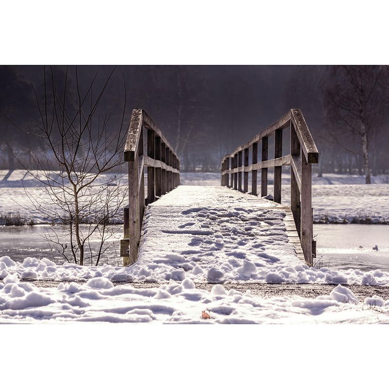 Space Extension Photography Mural Modern Style Mildew Resistant Wall Covering