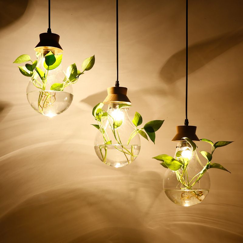 Contemporary Design Bulb Glass Shade Hanging Lamp Hydroponics Plant Drop Pendant for Coffee Shop