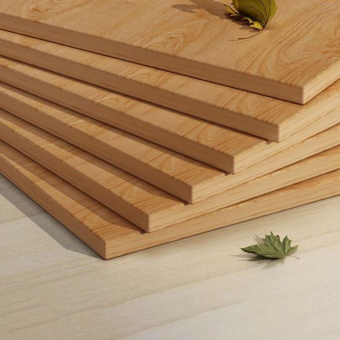 Closed Back Bookshelf Engineered Wood Bookcase for Study Room