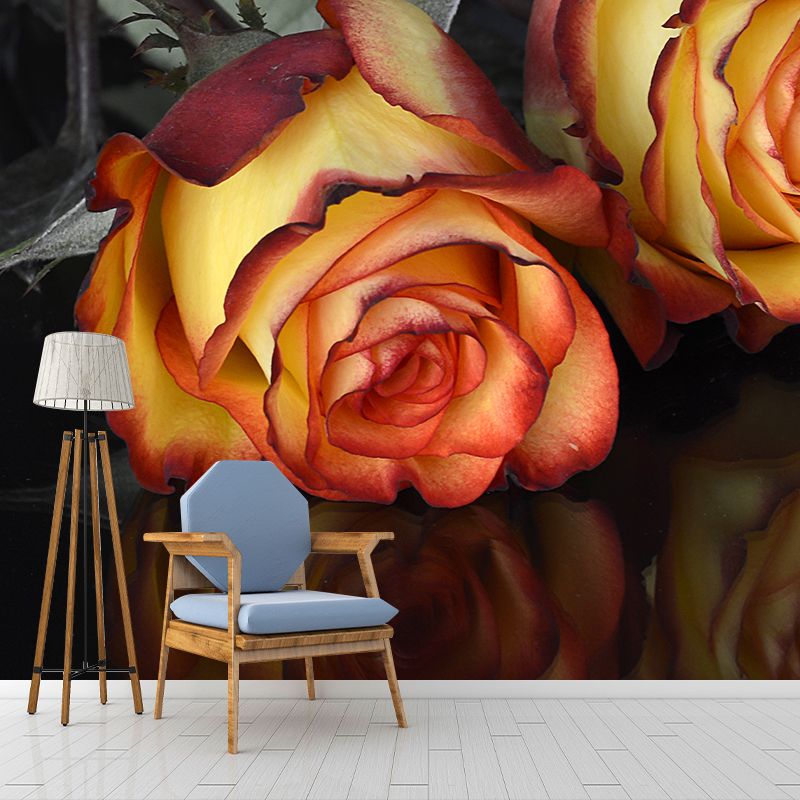 Mural Wallpaper Modern Photography Roses Living Room Wall Mural