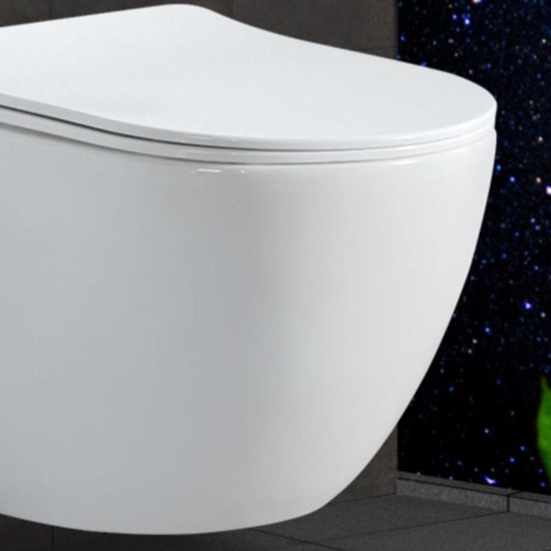 Contemporary Wall Hung Toilet Bowl White Seat Included Urine Toilet for Bathroom