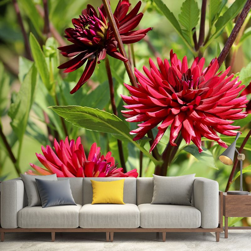 Customized Dahlias Mural Wall Covering Decorative Mildew Resistant for Living Room