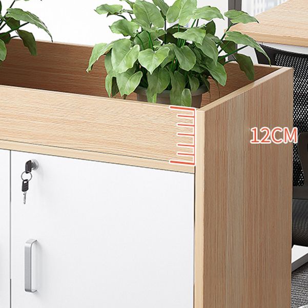 Wooden Bookcase with Doors Contemporary Bookshelf for Home Office