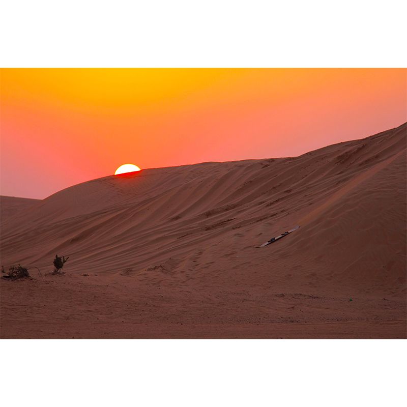 Customized Big Desert Mural Decorative Mildew Resistant for Dining Room