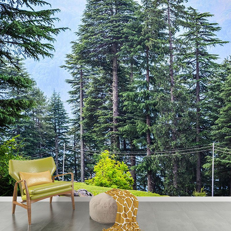 Natural Snow Style Forest Mural Horizontal Photography Bedroom Wall Mural
