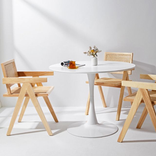 Contemporary Style Chairs Dining Arm Chair with Wooden Legs for Kitchen