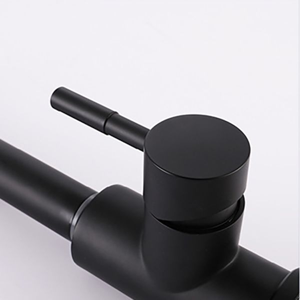 Modern 1-Handle Faucets Stainless Steel Gooseneck with Pull Out Sprayer Faucets