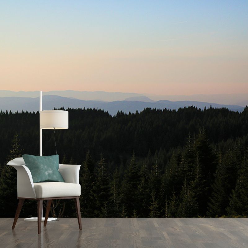 Forest Mural Customized Contemporary Photography Bedroom Wall Mural