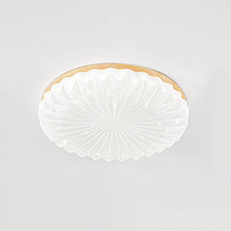 Modernism Beige Single Flush Mount Lighting Round LED Ceiling Light with Acrylic