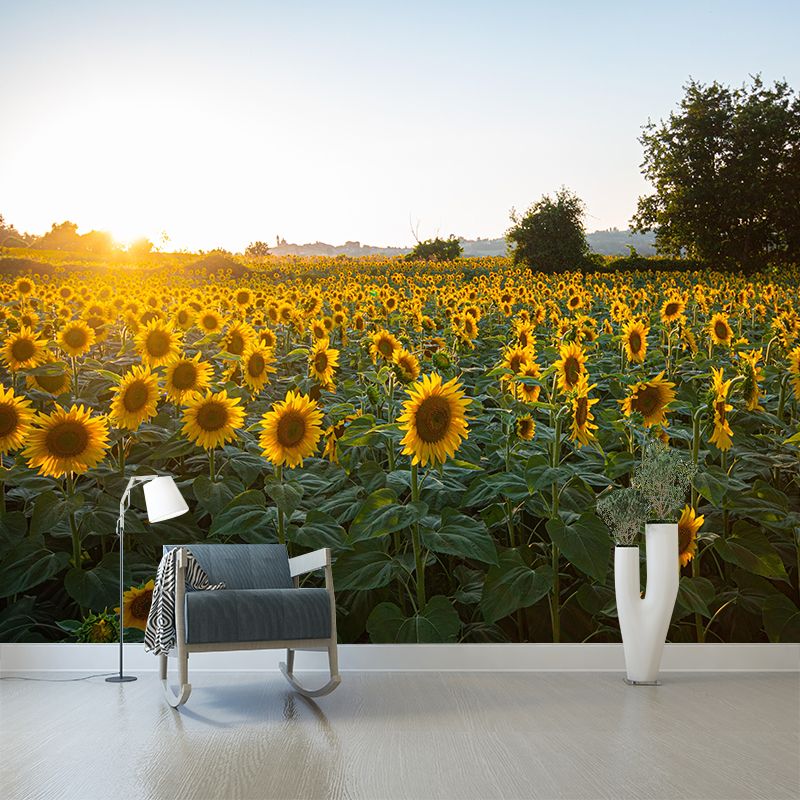 Photography Style Sunflower Blossing Mural Wallpaper Modern Wall Covering for Living Room