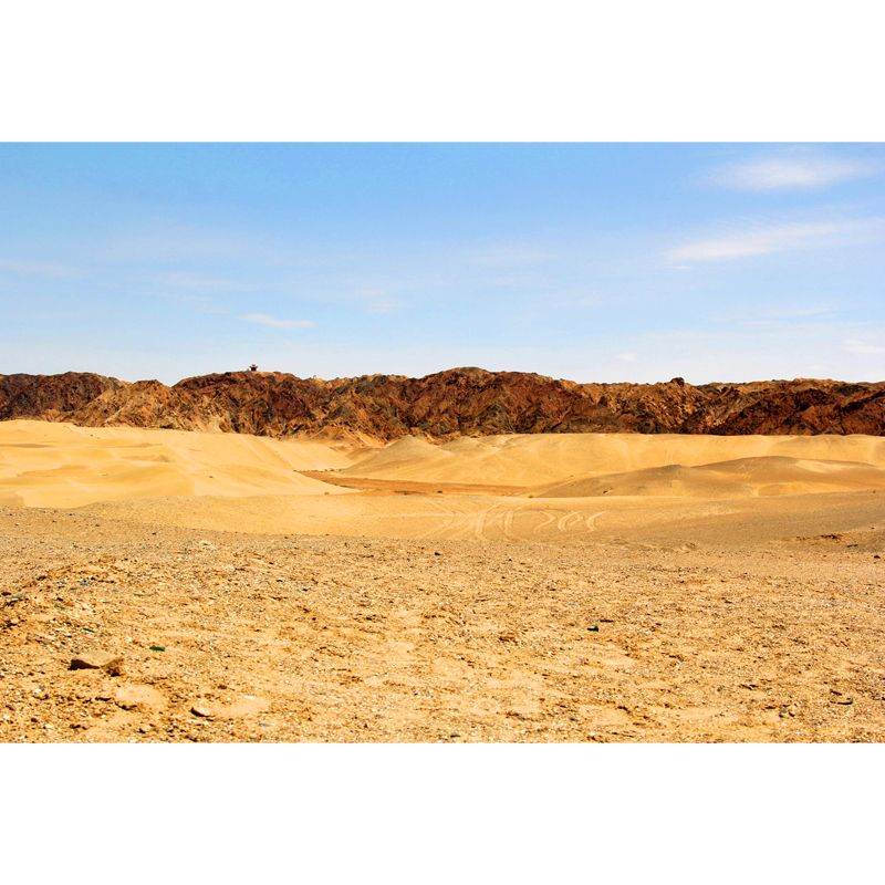 Full Size Modern Mural Wallpaper Yellow Wildland Wall Covering, Custom Size Available