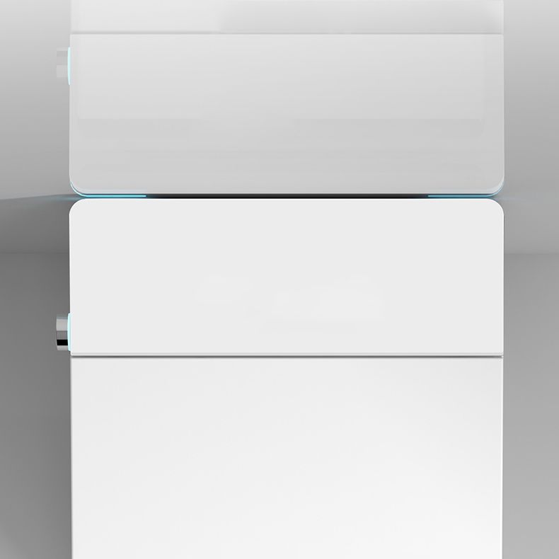 Contemporary Elongated Floor Mount Bidet White Smart Bidet with Bidet And Seat