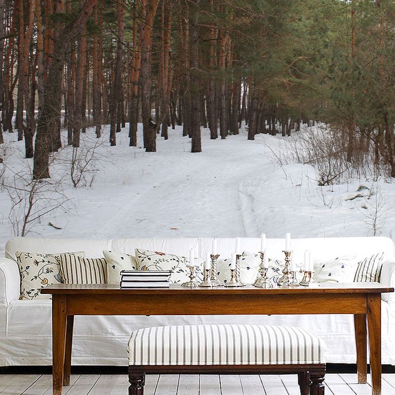 Pine Forest Landscape Wall Murals Moisture Resistant Wall Decor for Sleeping Room