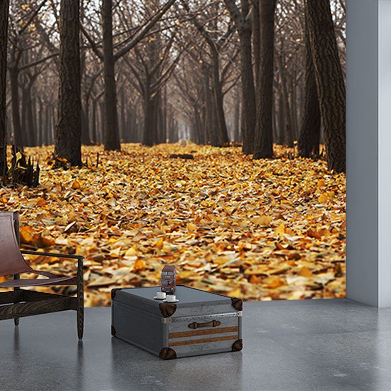 Photography Environmental Wall Mural Forest Stain Resistant Home Wall Mural