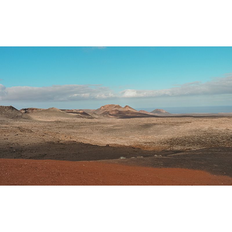 Desert Wall Murals Contemporary Wall Art for Bedroom, Moisture Resistant