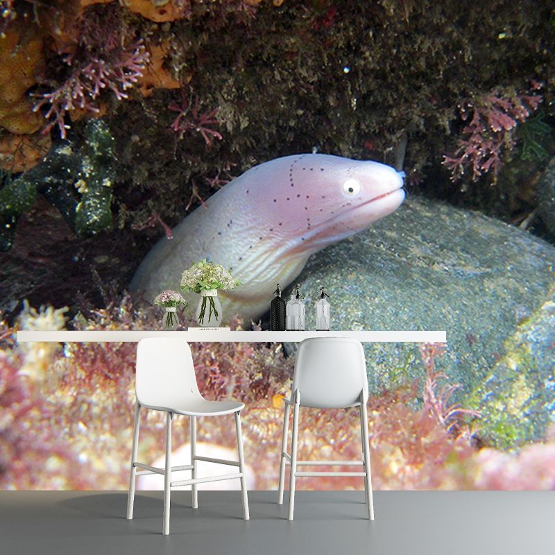 Tropical Photography Wallpaper Sea Mildew Resistant Coastal Wallpaper