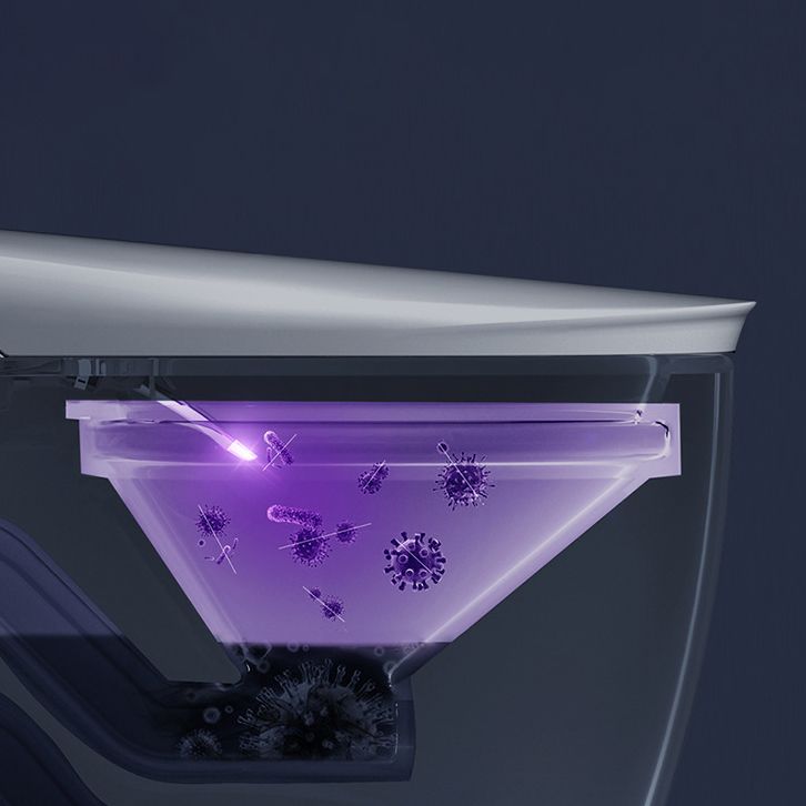 Contemporary All-In-One Toilet Floor Mounted Urine Toilet for Washroom