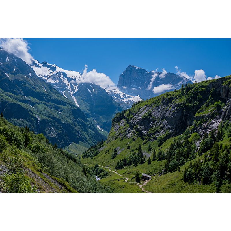 Photography Snowy Mountain Mural Wallpaper for Guest Room Decor, Made to Measure