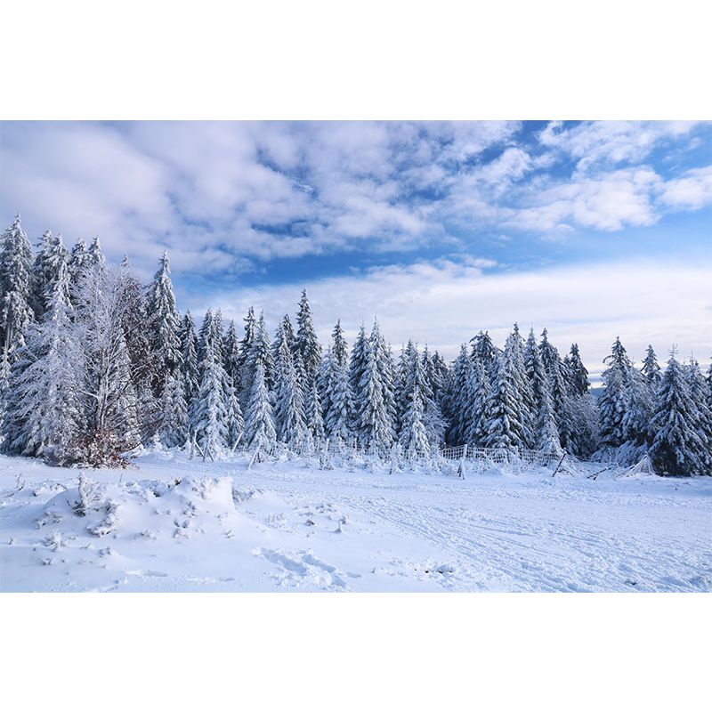 Forest Wall Mural Wallpaper Decorative Mildew Resistant Home Decor