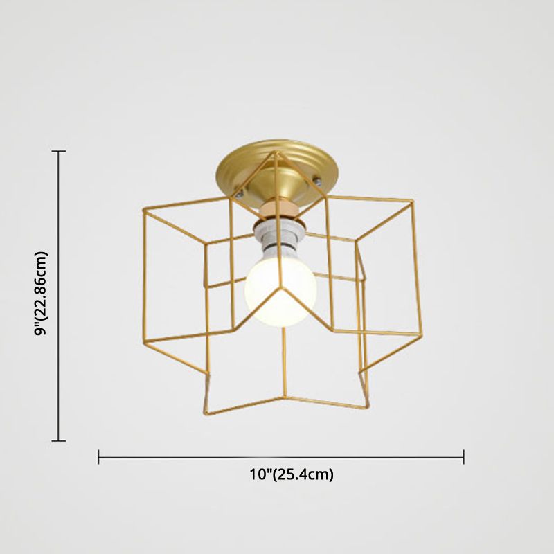 Star Semi Flush Kraut