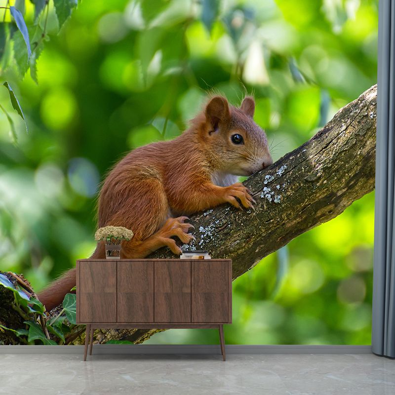 Lovely Squirrel Wallpaper Mural Decal Customized Modern Wall Covering for Bedroom