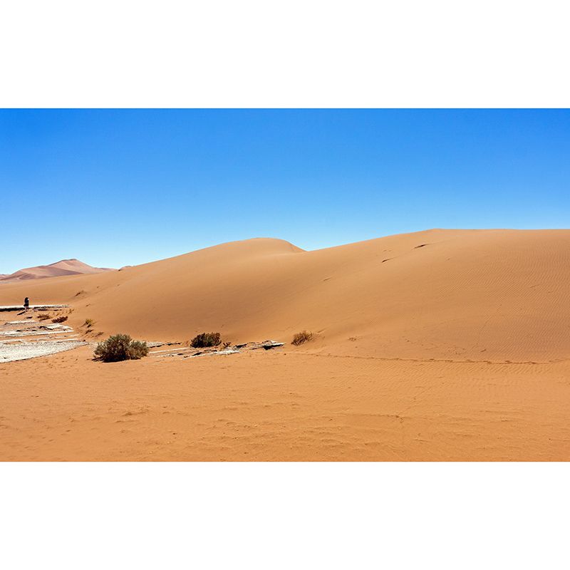 Bathroom Wallpaper Mural Modern Desert Mildew Resistant Wall Decor