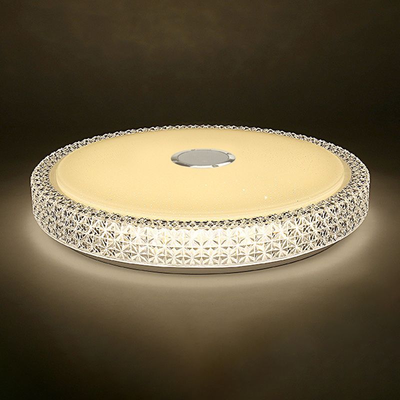 Ceiling Light Fixture LED Light Phone Control Light Bluetooth LED Light Foyer Bedroom Light