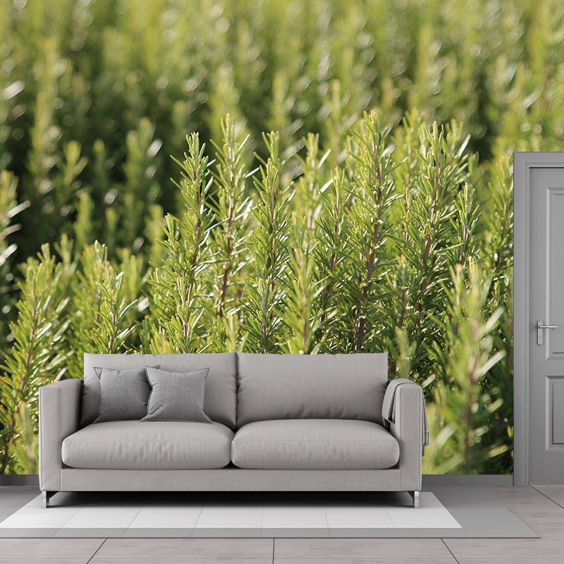 Rosemary Painting Mural Decal Modern Mildew Resistant Wall Covering for Decoration