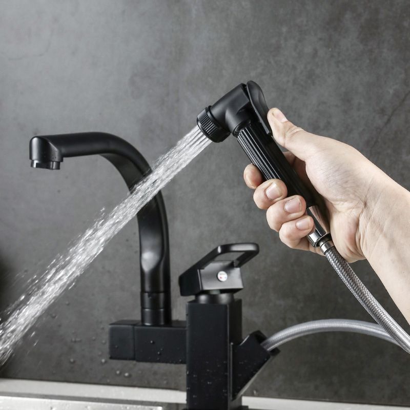Traditional 1-Handle Faucet with Water Dispenser Standard Kitchen Faucet