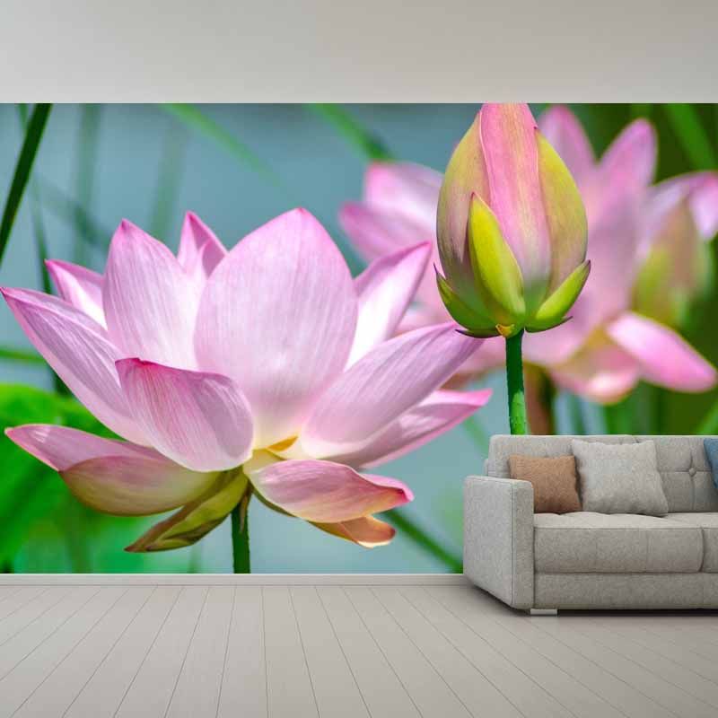 Horizontal Photography Lotus Wall Mural for Living Room Girls Women Bedroom