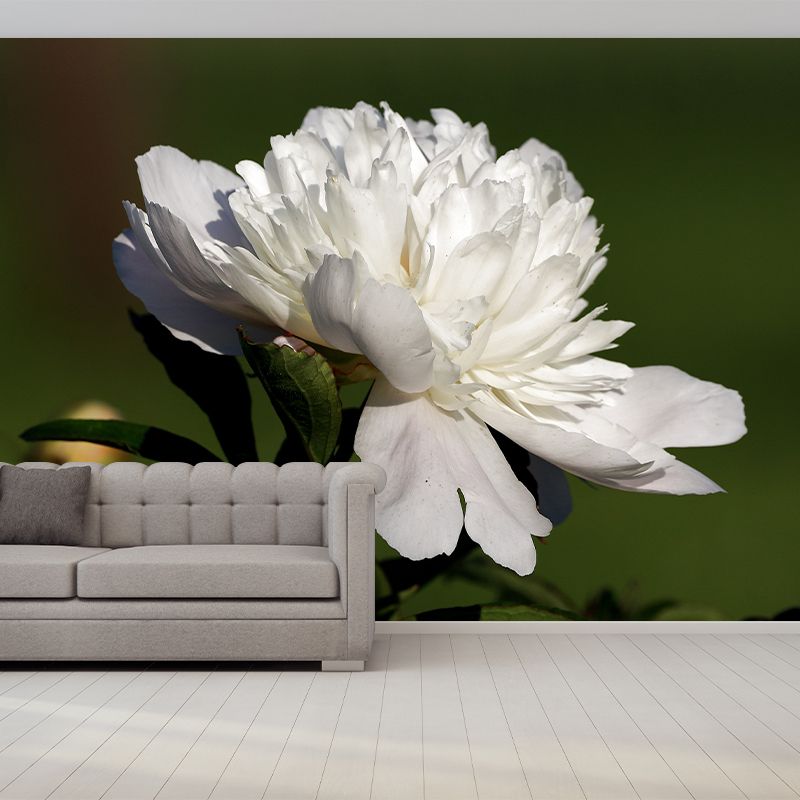 Delicate Peony Houses Mural Decal for Girls' Bedroom, Moisture Resistant