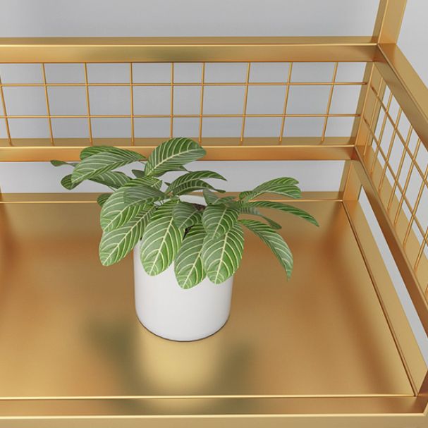 Standard Open Back Bookcase Glam Shelves Included Metal Bookshelf