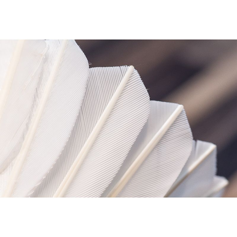 Light Feather Mural Wallpaper Minimalist Wall Covering for Sitting Room Decoration